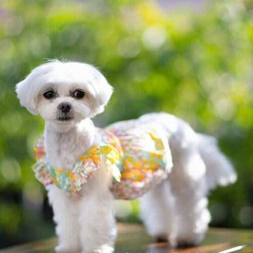 Summer Dog Soft Dress Pet Dog Clothes For Small Dog Party Birthday Wedding Bowknot Dress Puppy Costume Spring Pet Clothes