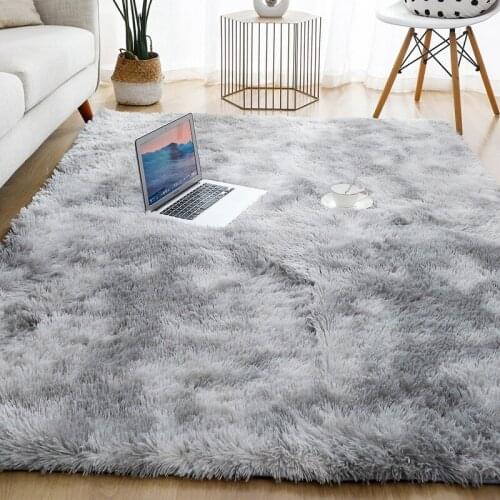 Thick Carpet for Living Room Plush Rug Children Bed Room Fluffy Floor Carpets Home Decor Rugs Soft Velvet Mat Area Rug