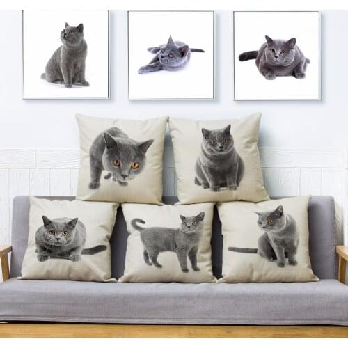 Cute British Shorthair Cat Print Throw Pillow Cover 45*45cm Square Cushion Covers Linen Pillow Case Car Home Decor Pillows Cases