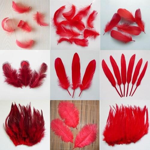 20 pcs 16 kinds Red Pheasant tail Chicken feathers Goose Rooster Plume Party Accessories DIY Craft decoration Ostrich feather