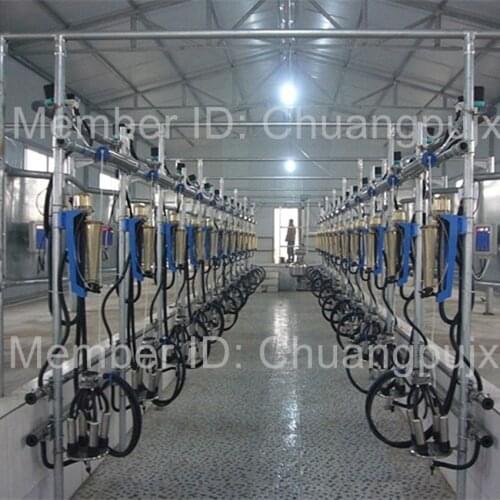 Automatic Fish-bone Waikato Milk Recorder Milking Parlor for Dairy Farm