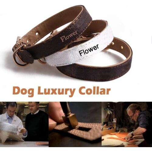 Pet Dog Collar Leash Luxury Necklace Leash for Dog Puppy Cat High Quality Black Brown Small Large Dog Collar Pitbull