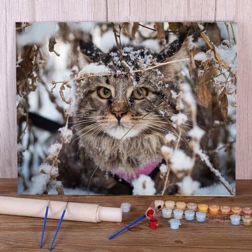 Test Diy Paint By Numbers Kit Acrylic Canvas Drawing DIY Paint By Numbers Complete Kit Drawing