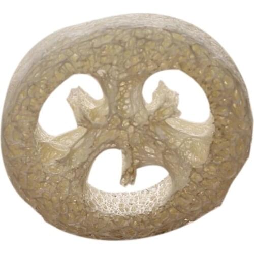 150Pcs Natural Loofah Luffa Loofa Slices Handmade Loofah Soap Box Tray Tools Cleaner Sponge Facial Soap Holder