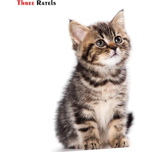 Three Ratels TZ-1746# 11.8x20cm car stickers Cute naughty cat funny sticker auto decals