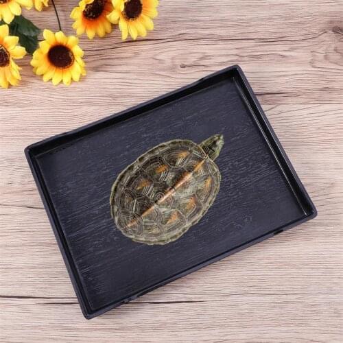 1 Pc Reptile Bowl Tortoise Food And Water Dish Also Fit For Bath Pet Supplies (Black)