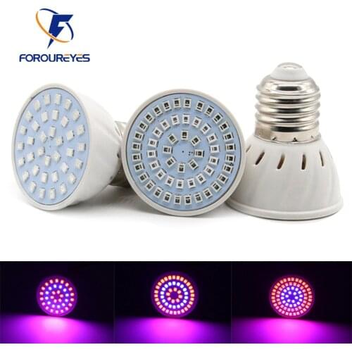 Foroureyes Professional Lighting