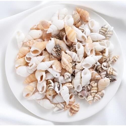 20/40/60/80g 3 Color Cute Small Conch Beads Natural Sea Snail Accessories With Holes Women DIY Bracelet Necklace Jewelry Parts