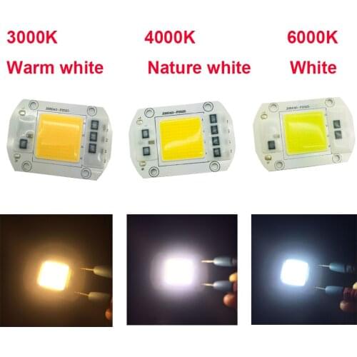 AC LED COB lamp AC110V 50W Input Smart IC Driver For DIY LED Floodlight Spotlight Garden Bulb