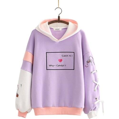 Women Hoodies And Sweatshirts Cartoon And Tetter Embroidery Long Sleeve Hooded Pullover Tracksuits Sweet Style Female Tops