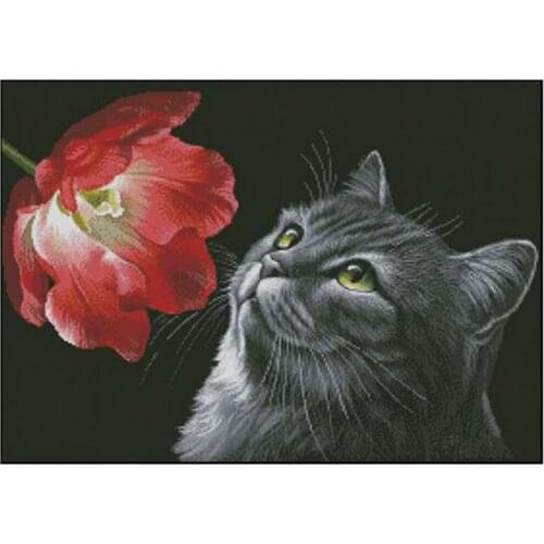 Lovely Gold Collection Counted Cross Stitch Kit Black cat smell the tulip red flower Free Shipping