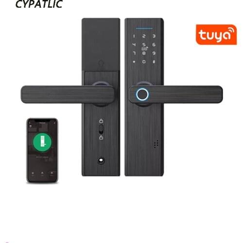 Tuya Biometric Fingerprint Lock, Security Intelligent Smart Lock With WiFi APP Password RFID Unlock,Door Lock Electronic Hotels