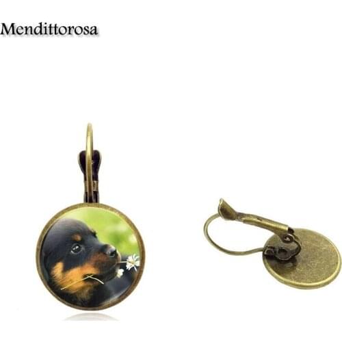 Mendittorosa Cute Pet Dogs Labrador Bulldog Poodle