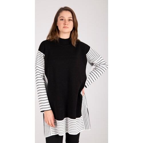 Ardanewline Women Sweater 1074729