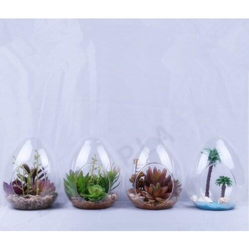 12pcs/pack 8*10cm Small Size Egg Shaped Glass Terrarium Vase Diameter=8cm Height=10cm Microscape Hydroponic Plant Decoration