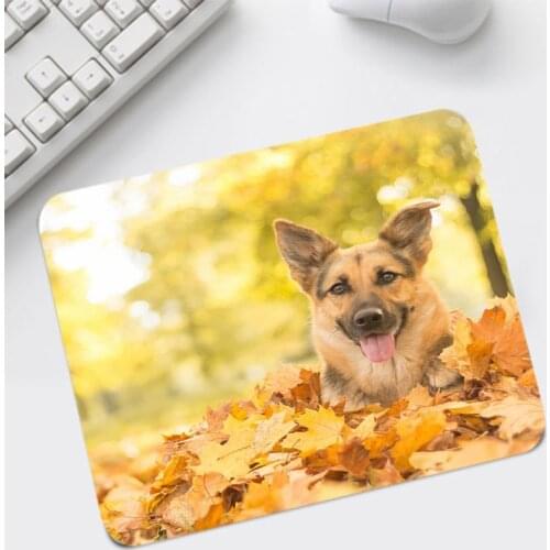 Big Promotion Animal Dog Picture Printed Mats Mice Anti-slip Rubber Mouse Pad Gamer Desktop Pads for LOL CSGO Games