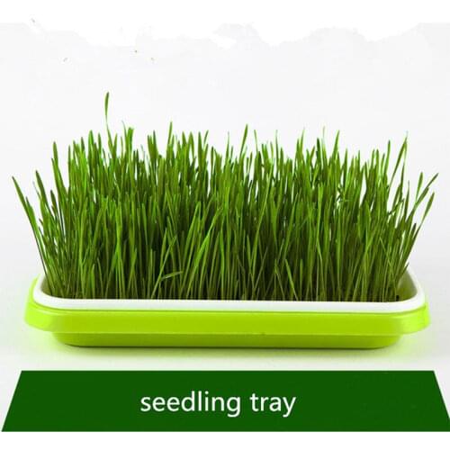 Bean Sprouts Double-layer Dishes Plate Seedling Tray Plastic Hydroponic Flower Basket Flower Plant Home Garden Nursery Pots
