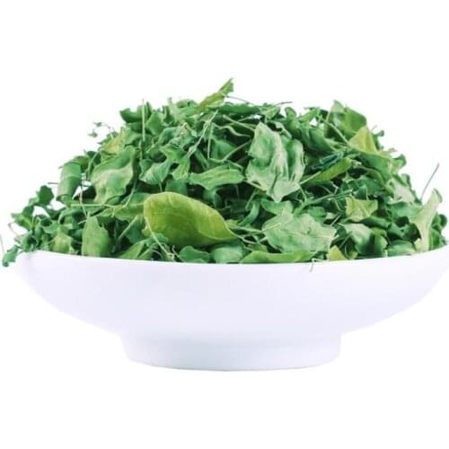 Natural Moringa oleifera dry leaf 500g