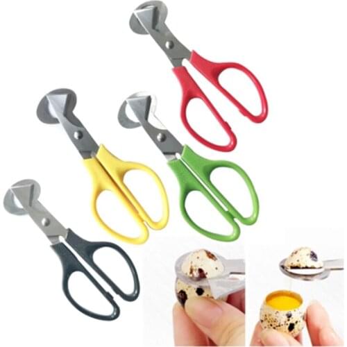 Quail Egg Scissors Bird Egg Scissors Stainless Steel Egg Cutters Egg Cutters Egg Shell Cutters Egg Opener