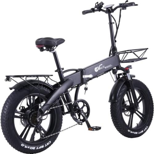 750W 48V 10AH Electric Bicycle Adult Ebike Snow Mountain 20 inch Folding Fat Tire Electric Bike