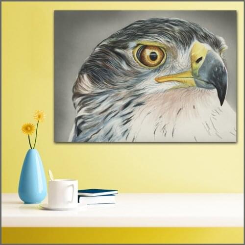 Large size Printing Painting Art Birds Hawk Head Beak art Picture Home Decor Living Room Modern Canvas Print Paintings no frames