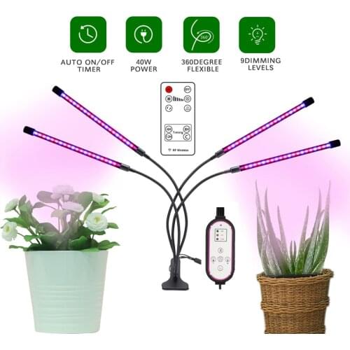 Фитолампы для растений JSEX China At AliExpress