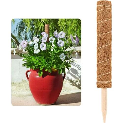 Coir Totem Pole Safe Plant Support Extension Coir Moss Stick for Climbing Indoor Plants