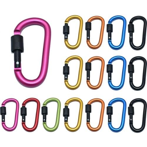 2pcs D Type Carabiner Carabiner Snap Hook Carabiner D Ring Locking Key Security Key Buckle Carabiner for Backpack Dog Leash