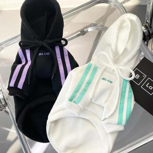 Spring and Autumn New Hooded Sports Sweater Dog Clothes Teddy Corgi Fighting Medium and Small Dog Cat Clothes