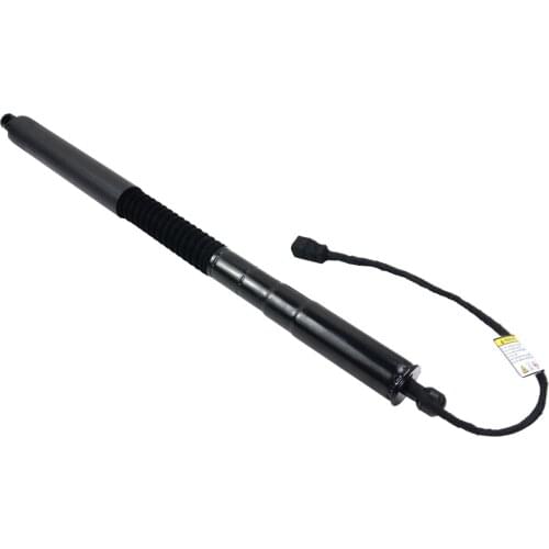 AP03 51247397322 Electric Tailgate Gas Strut Rear Right for BMW X3 G01 2019 RIGHT