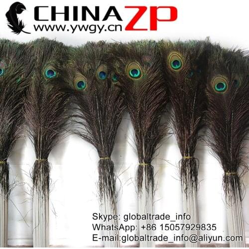 Yiwu ZP Crafts Co., Ltd 90-100cm 36"-40" 200pieces/lot Top Quality Natural Peacock Feathers
