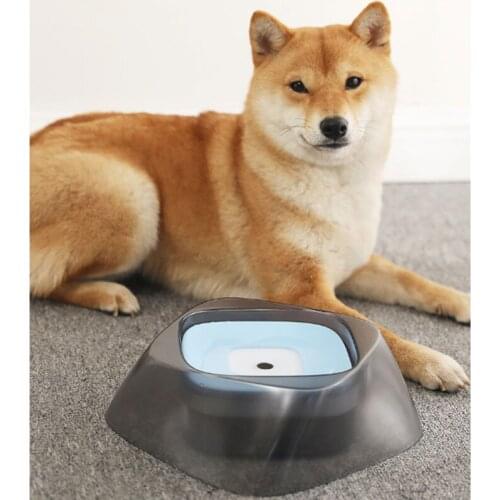 Dustproof Transparent Floating Bowl Splashproof Water Automatic Adjustment Drinking Fountain For Dog And Cat Plastic Pet Blow
