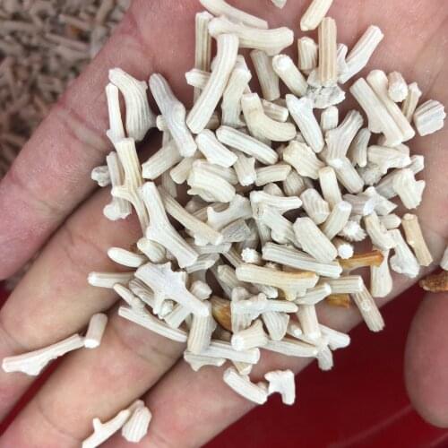 100g natural white coral stone gravel