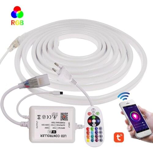 WIFI RGB Neon Light 220V 110V Outdoor Waterproof Neon Ribbon Tape SMD5050 Flexible Led Strip Neon Sign Remote Control Neon Rope