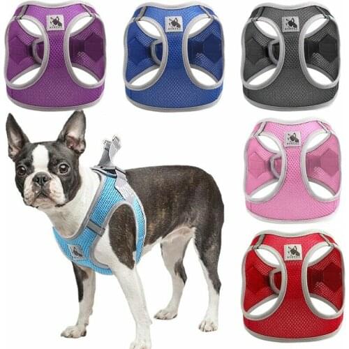 Pet Dog Leash Summer Breathable Chest Harness Dog Leash Dog Harness Vest Supplies