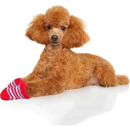 4pcs/set Pet Socks Cat Puppy Socks Cute Indoor Boots Socks Footwear Pet Products Cat Dog Supplies Non Slip Socks Pet Supplies