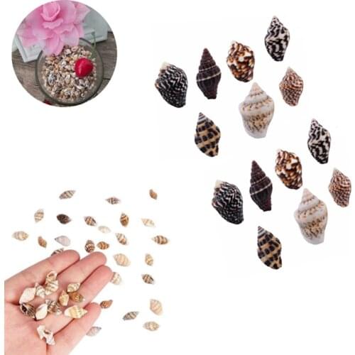 100pcs Small Miscellaneous Conch Home toysDecoration Material Natural Craft Seashell Aquarium Fish Tank Landscape