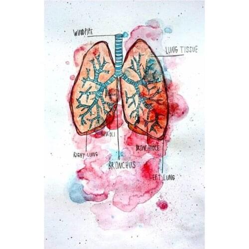 Lot style Choose Human Heart Medicine Anatomy Doctors Gift Heart & Flowers Art print Silk poster Home Wall Decor