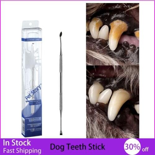 Pet Dog Toothbrush Stainless Steel Double Head Tooth Cleaning Tool Brush Bad Breath Tartar Teeth Care for Dog Cat Supplies