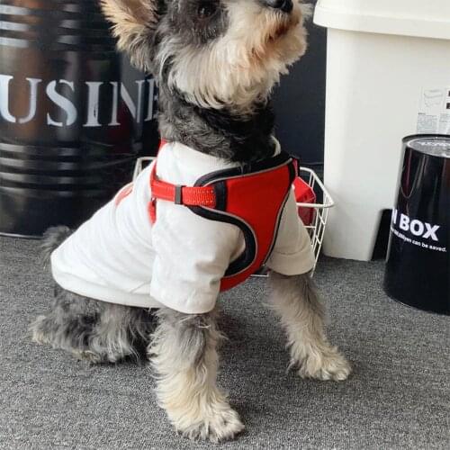 Fashion Letter Dog Harness Leash Set Dog Vest Harnesses Red Black Walking Out Leading Rope Maltese Arnes Dogs Pets Supplies A204