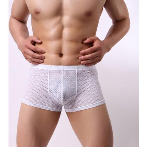 Brand New Underwear Boxer Men Breathable Mesh Mens Boxers Male Underpants Sexy Panties Nylon Mens Bodysuit Trunks Pant