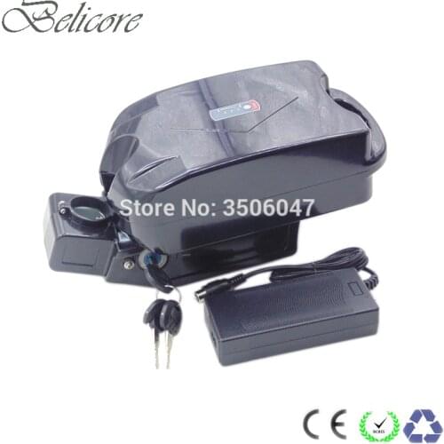 Battery ebike 36v 48v 10ah 12ah 15ah little frog electric bike lithium ion battery+2A charger