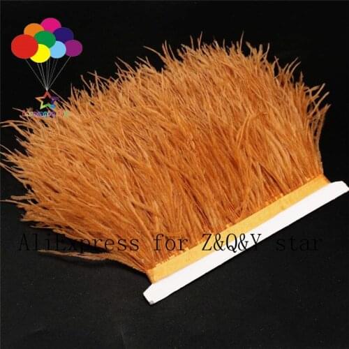 Z&Q&Y natural high quality ostrich hair dyed rust color made cloth side stage performance clothing craft feather DIY accessories