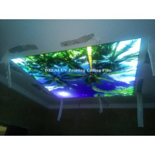 New Fashion Coconut Tree UV pvc stretch ceiling film with pigeon and sun ceiing film
