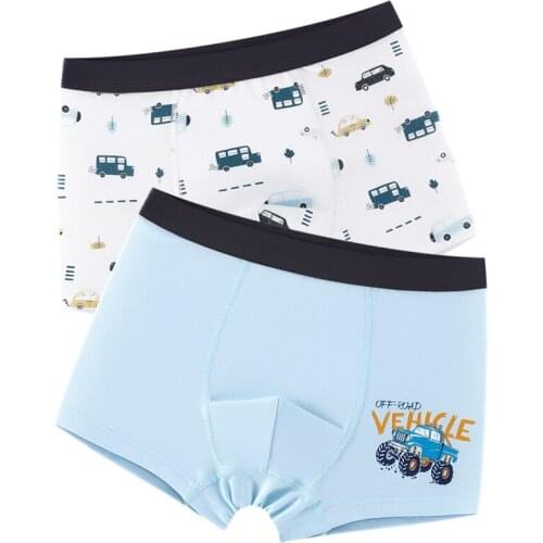 2pcs Cotton Stretchy Boys Underwear Boxer Cartoon Underpanties Bottoms Kids Clothes for 7 8 9 10 11 12 13 14 Years Old OBU203040