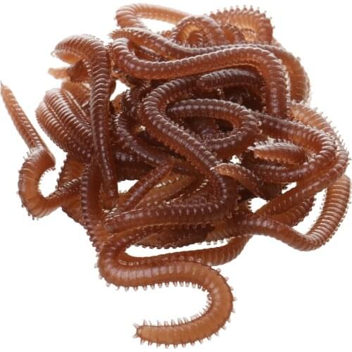 20g Rubber Artificial Lugworms Smelly Flavored Fishing Lures With Box