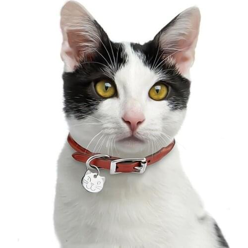 zheFanku Collars For Cats