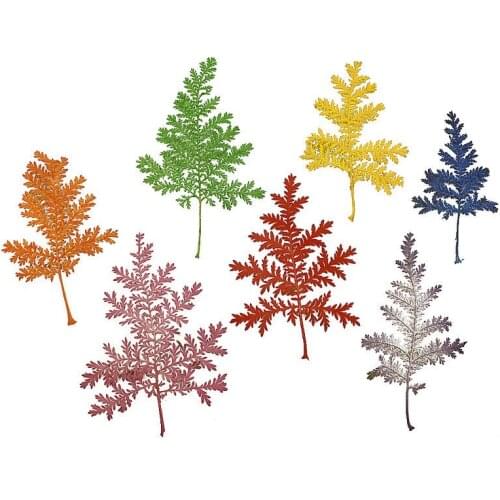 250pcs Pressed Dried Artemisia wormwood Flower Leaf Herbarium For Jewelry Postcard Bookmark Invatation Card DIY Making