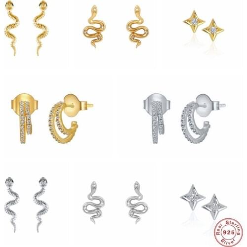 CANNER 925 Sterling Silver Stud Earring Trendy Snake Piercing Earrings Pave Zircon Pendientes Oorbellen Jewerly Birthday Gift