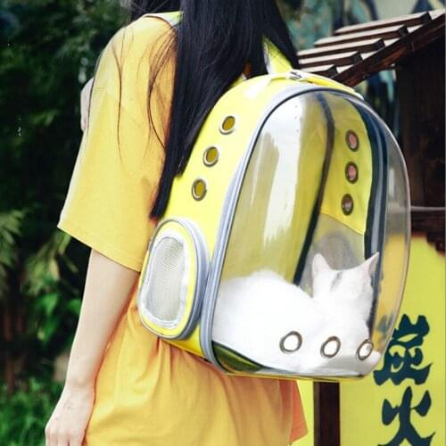 Panoramic Transparent Pet Space Cat Bag Portable Cabin Shoulder Bag Backpack Dog Cat Out Bag Ravel Bag Puppy